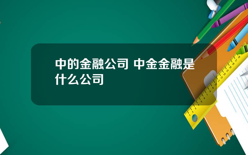 中的金融公司 中金金融是什么公司